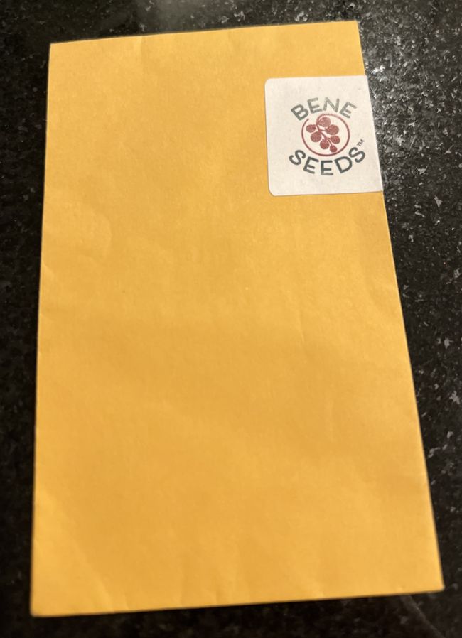 Benevento Marmo seeds from beneseeds.com