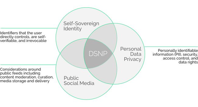 the DSNP rug that ties the room together